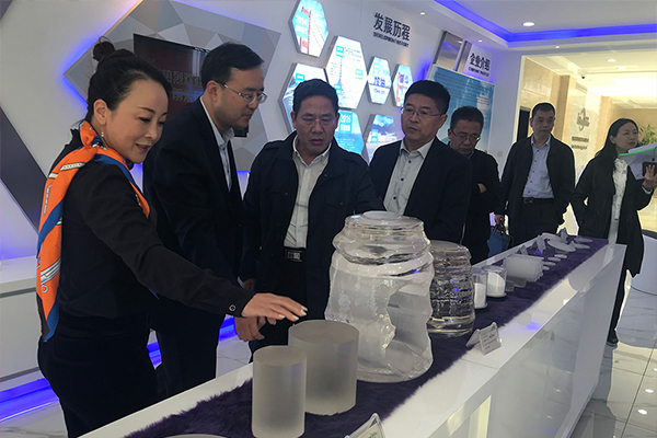 省调研评估组来嘉星晶电评估调研